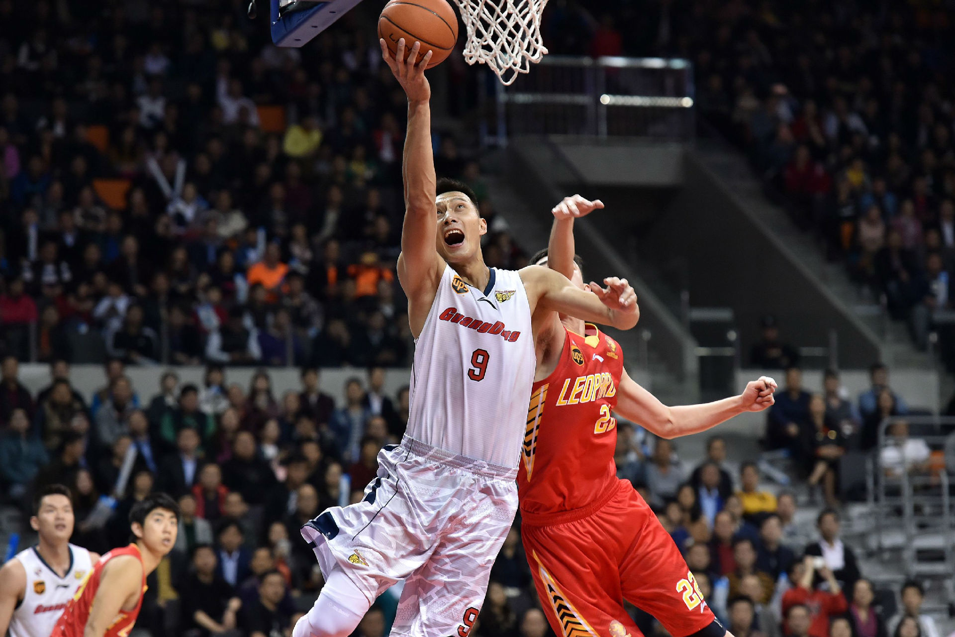 范尼的到来 范尼的到来