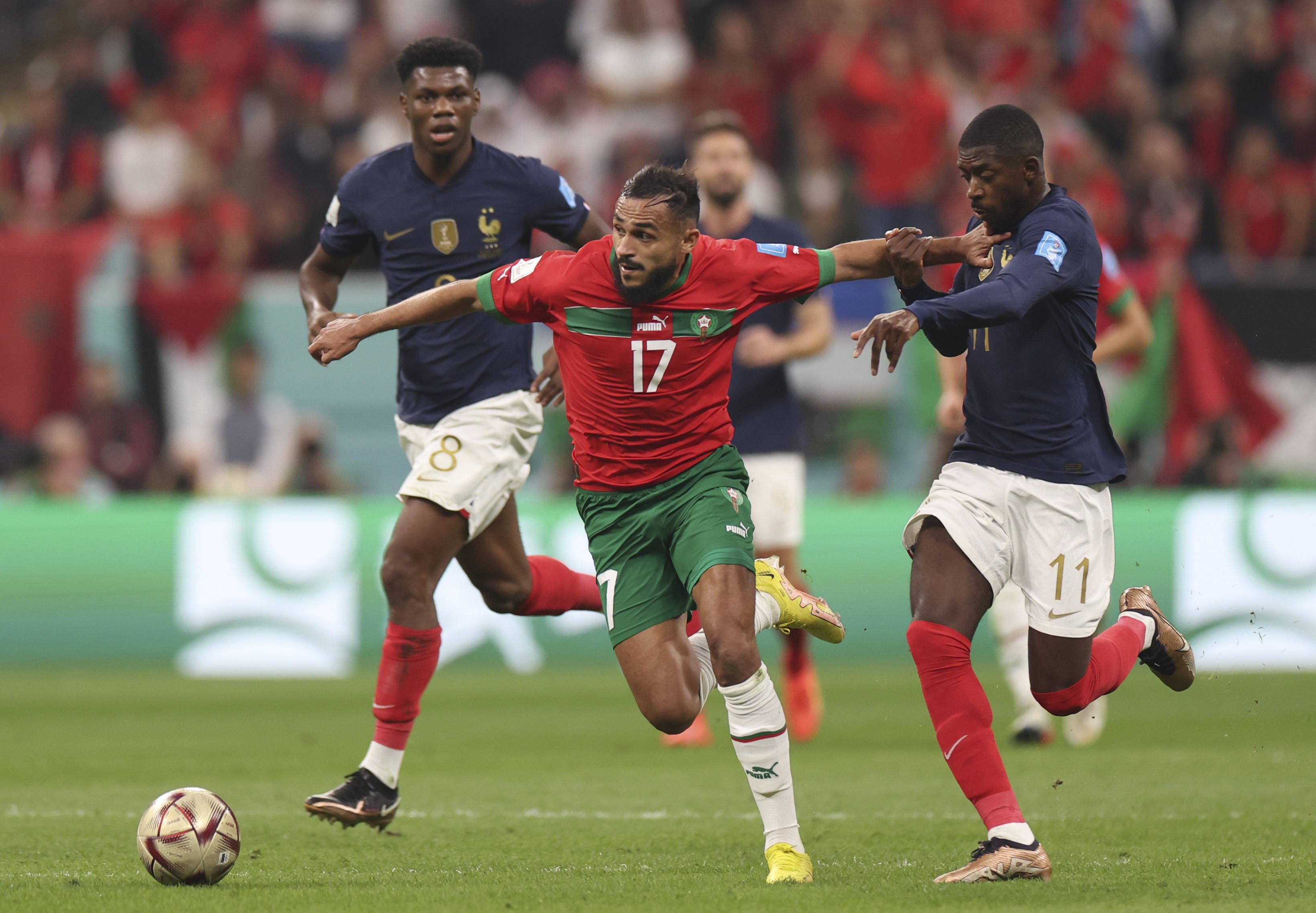 以感受到来 以感受到来