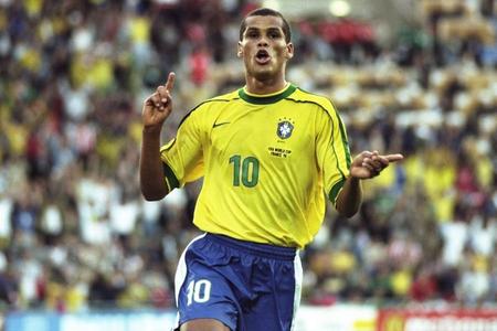 带来了新的 带来了新的